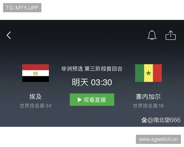 埃及晋级路线图预测 埃及晋级路线图预测